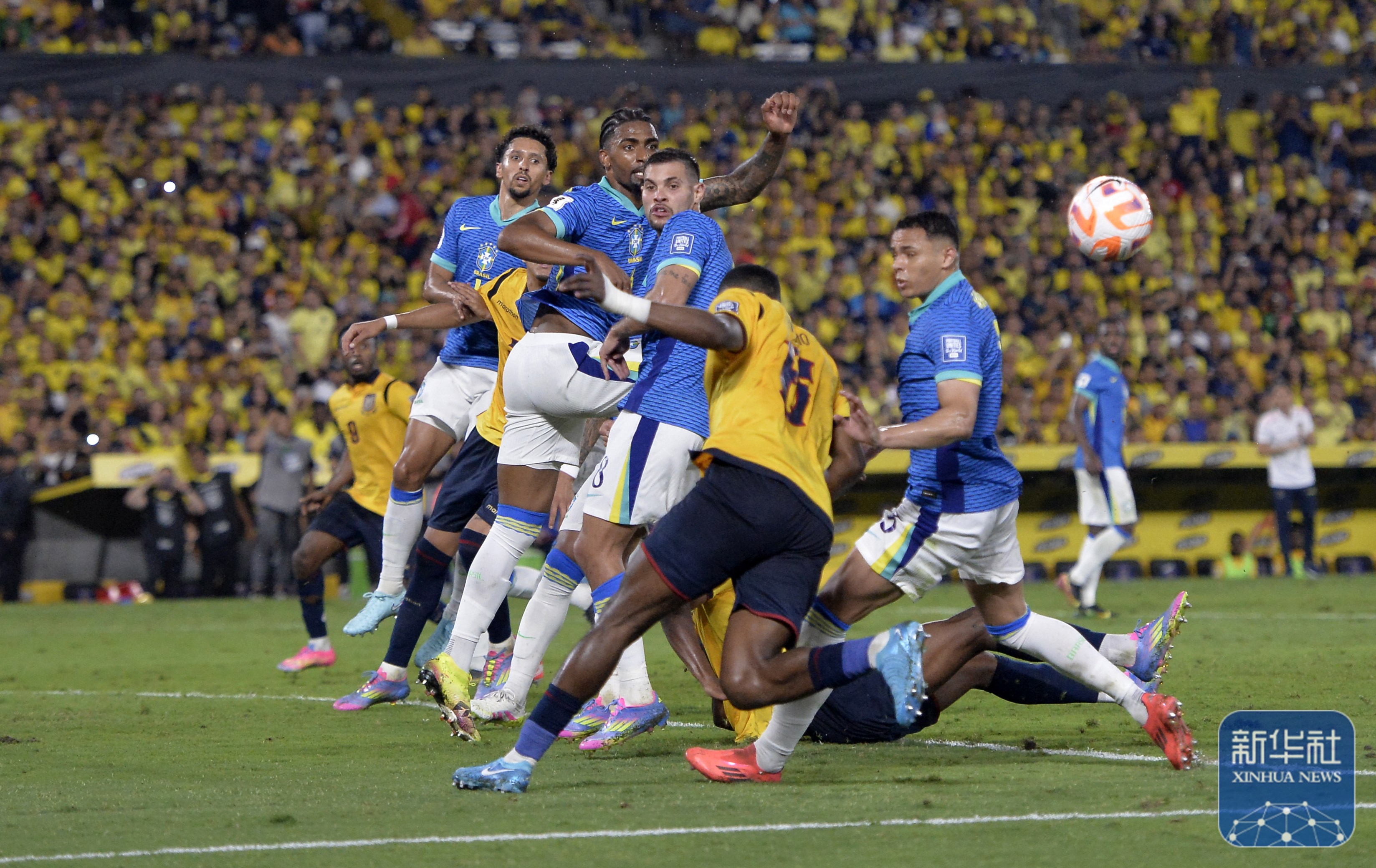 拳击比赛：巴西选手成功晋级半决赛