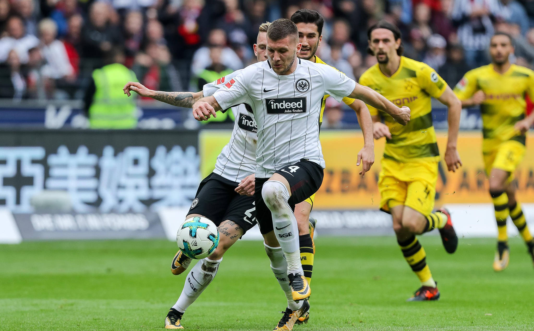 包含法兰克福连胜说明复苏，魅力重现球场的词条