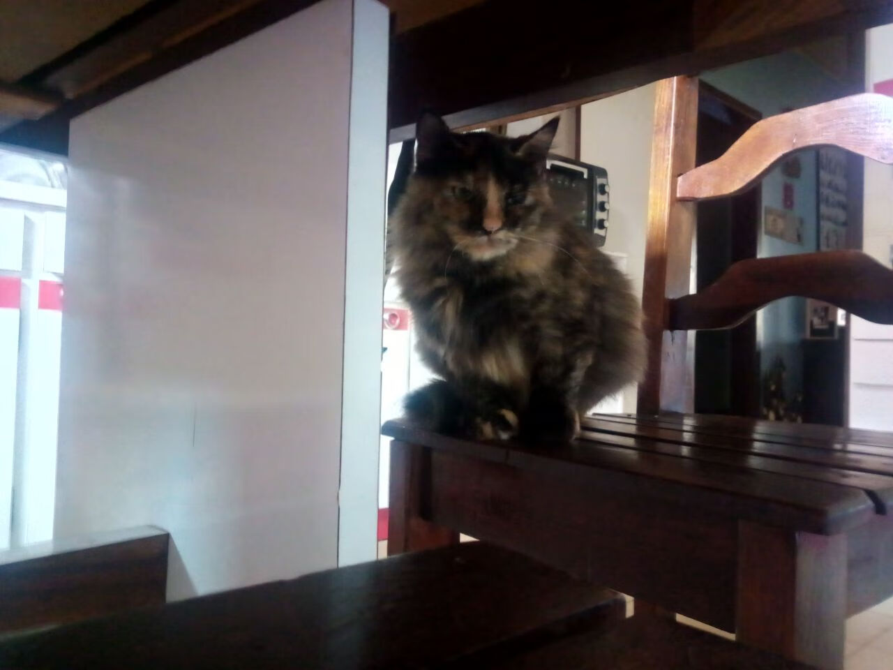 阿坎吉爆发！委内瑞拉爆冷英格兰背后，团队纪律如何战胜巨星云集？