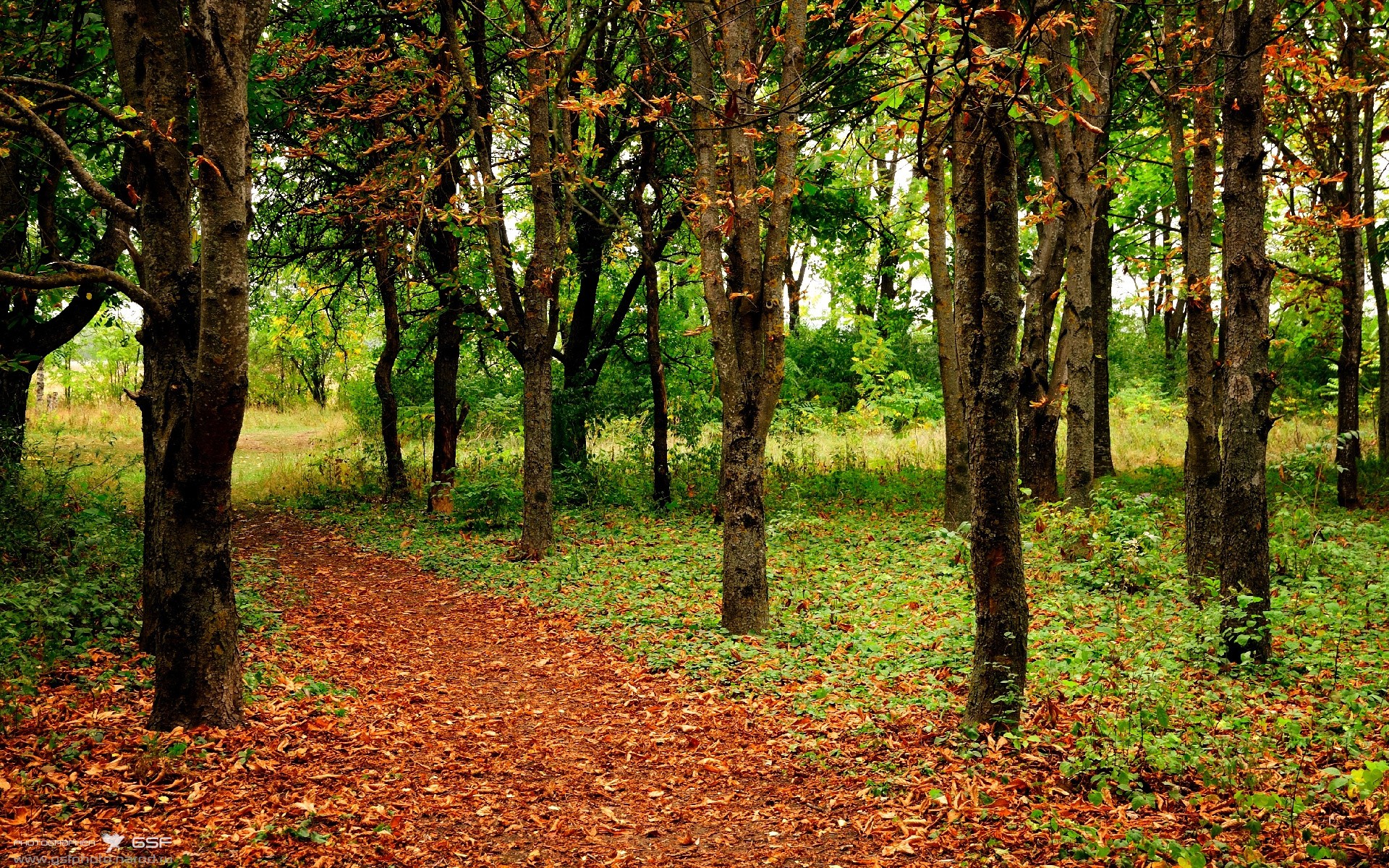 幻影交织，恩比德统治与深圳击溃背后的胜负图腾