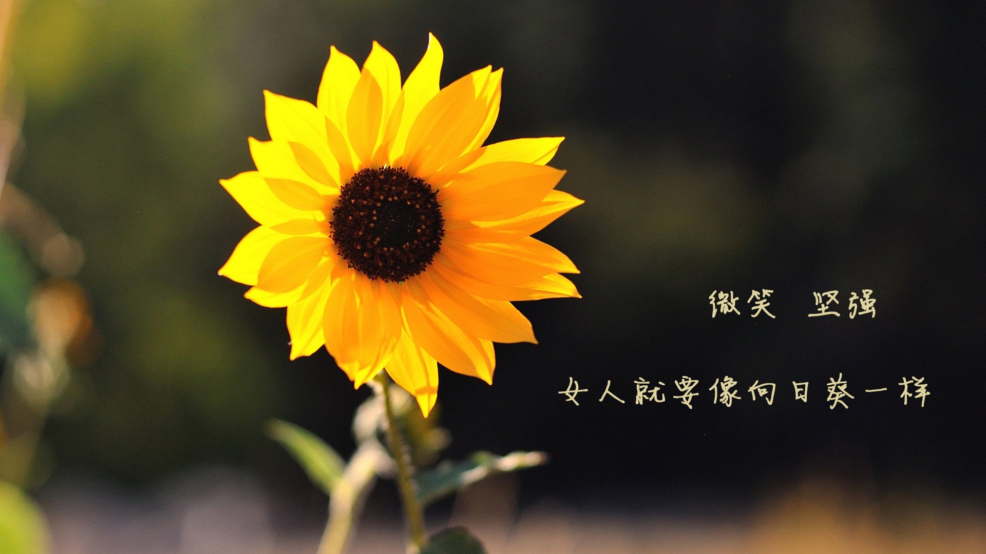 骑士战术压制雄鹿，哈登里程碑之夜难掩失利阴霾