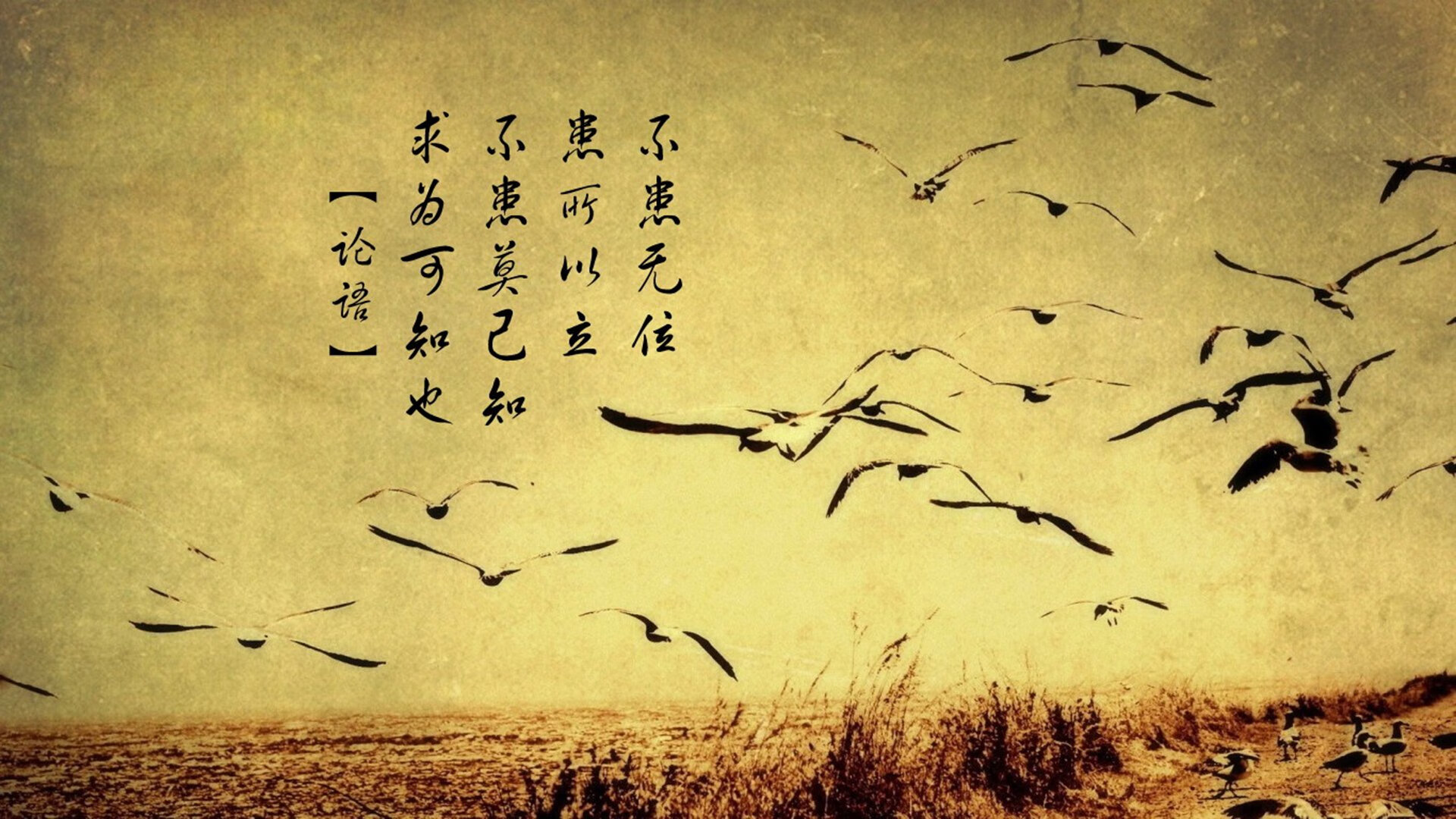 塞维利亚的手术刀，精密战术与门迪的绝命三击如何肢解红军
