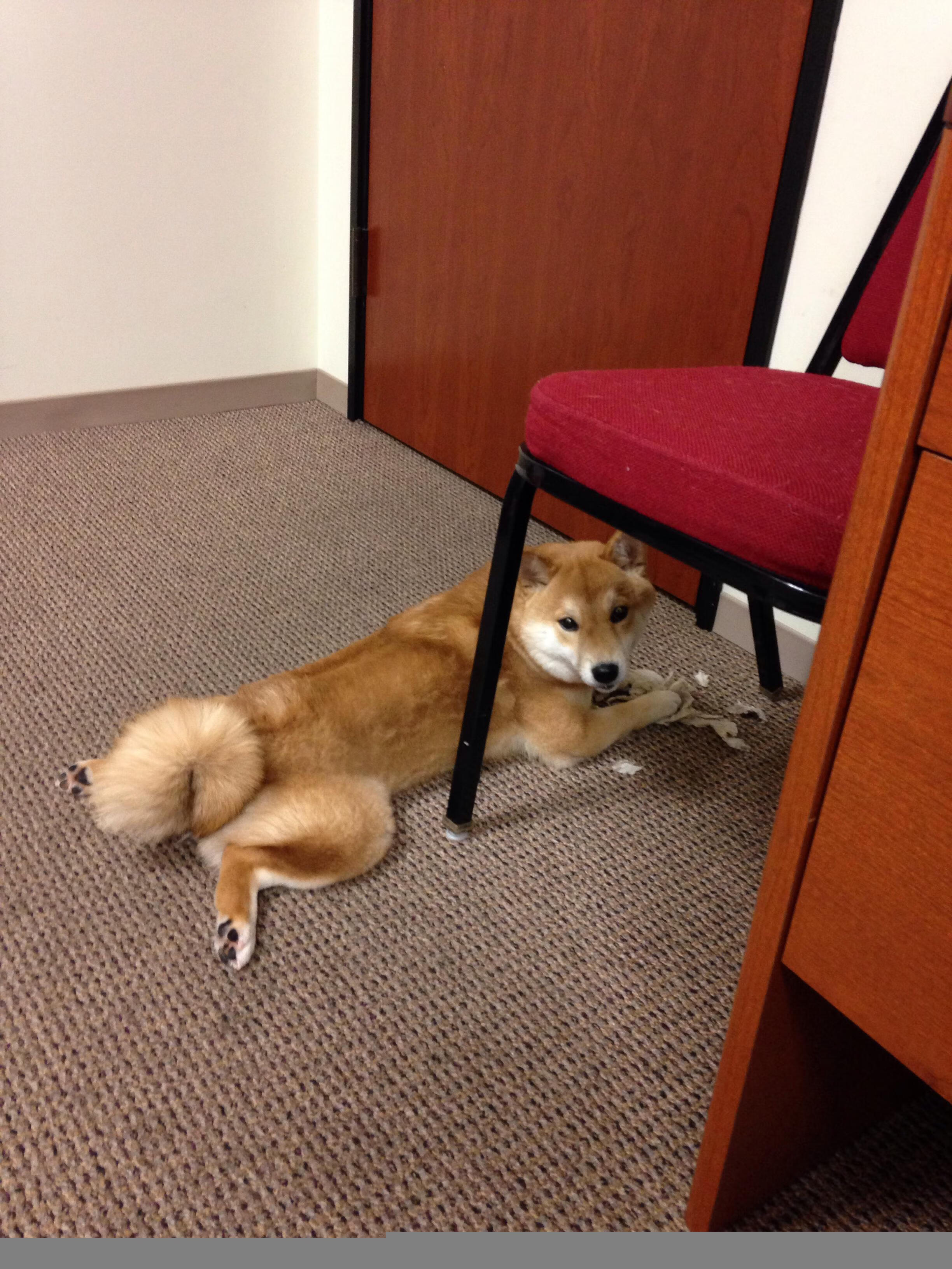 世界排名争夺战之夜,特奥的无解传奇,对手的绝望篇章