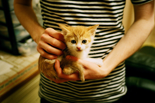 意式锋刃,欧陆淬火,拉齐奥狂胜尼斯,罗德里戈冠军级表现昭示蓝鹰野心