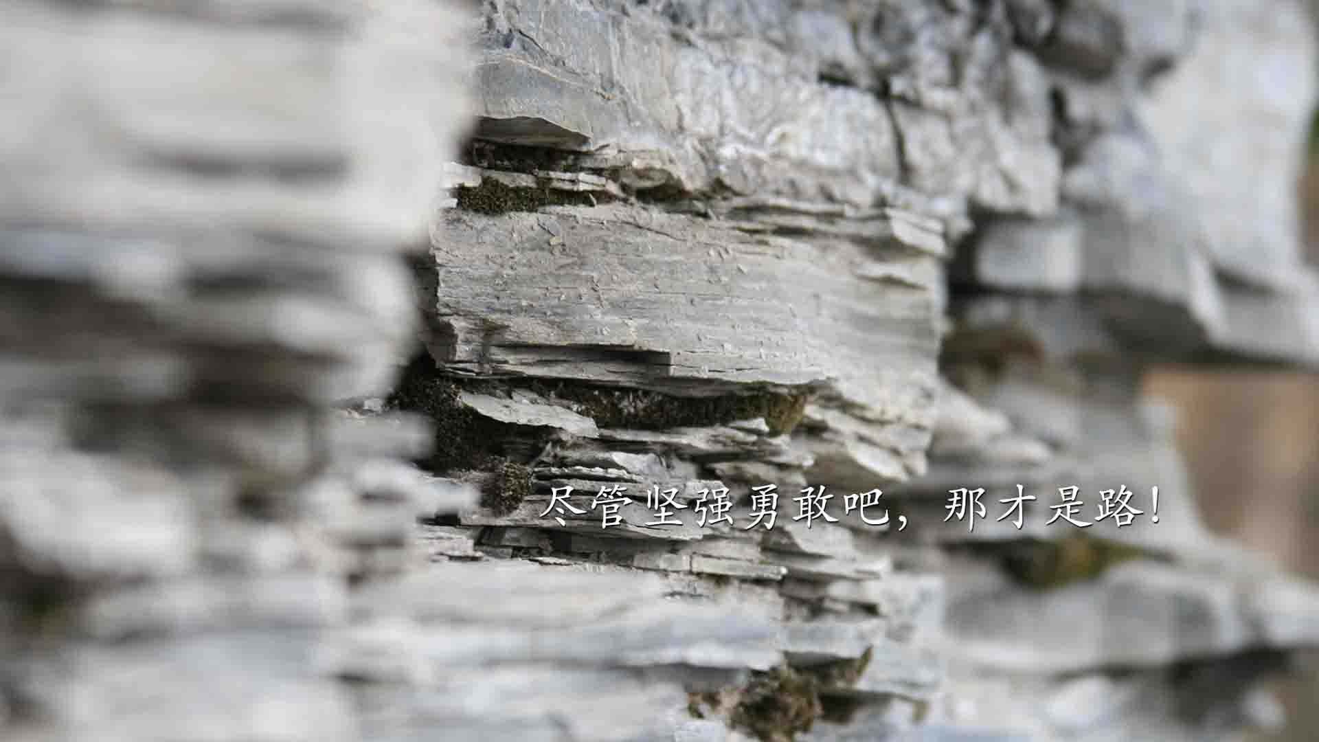 双星闪耀，马刺生死战逆转山西，乔治欧冠淘汰赛独揽风云