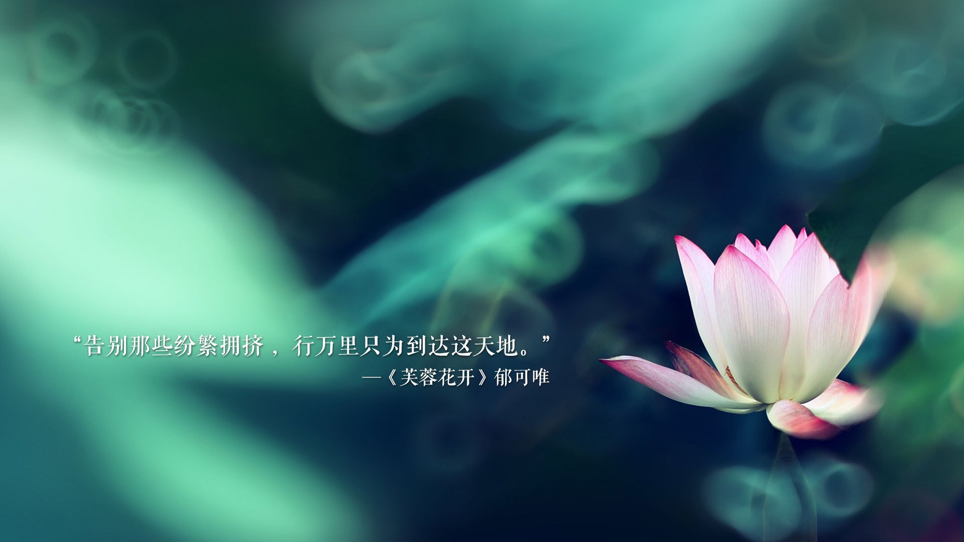 坎特的手术刀，哥斯达黎加的奇袭，一场团队意志对机械战术的完胜
