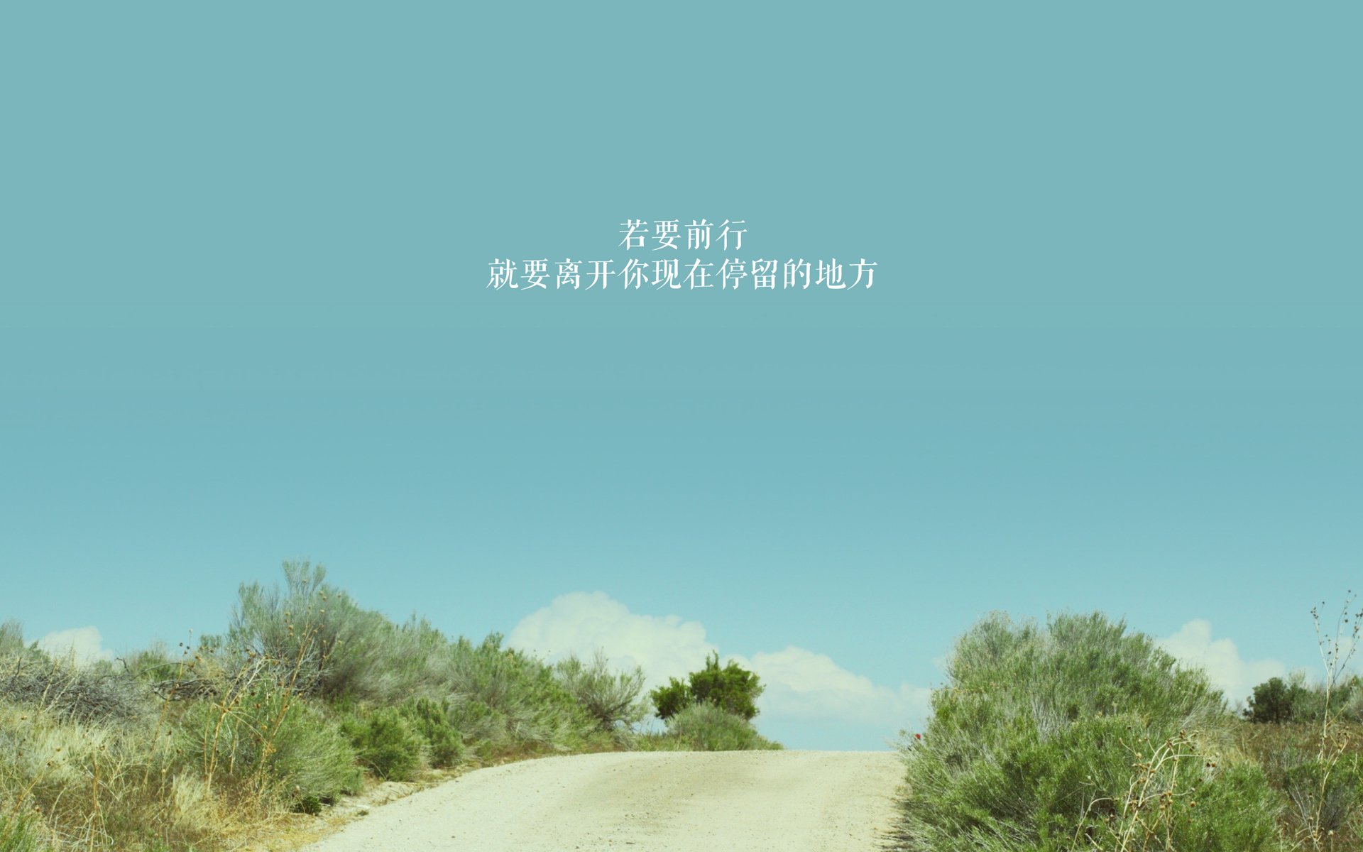 个体锋芒与集体哲学，当哈兰德的杀伤力遇上尼斯的完胜艺术