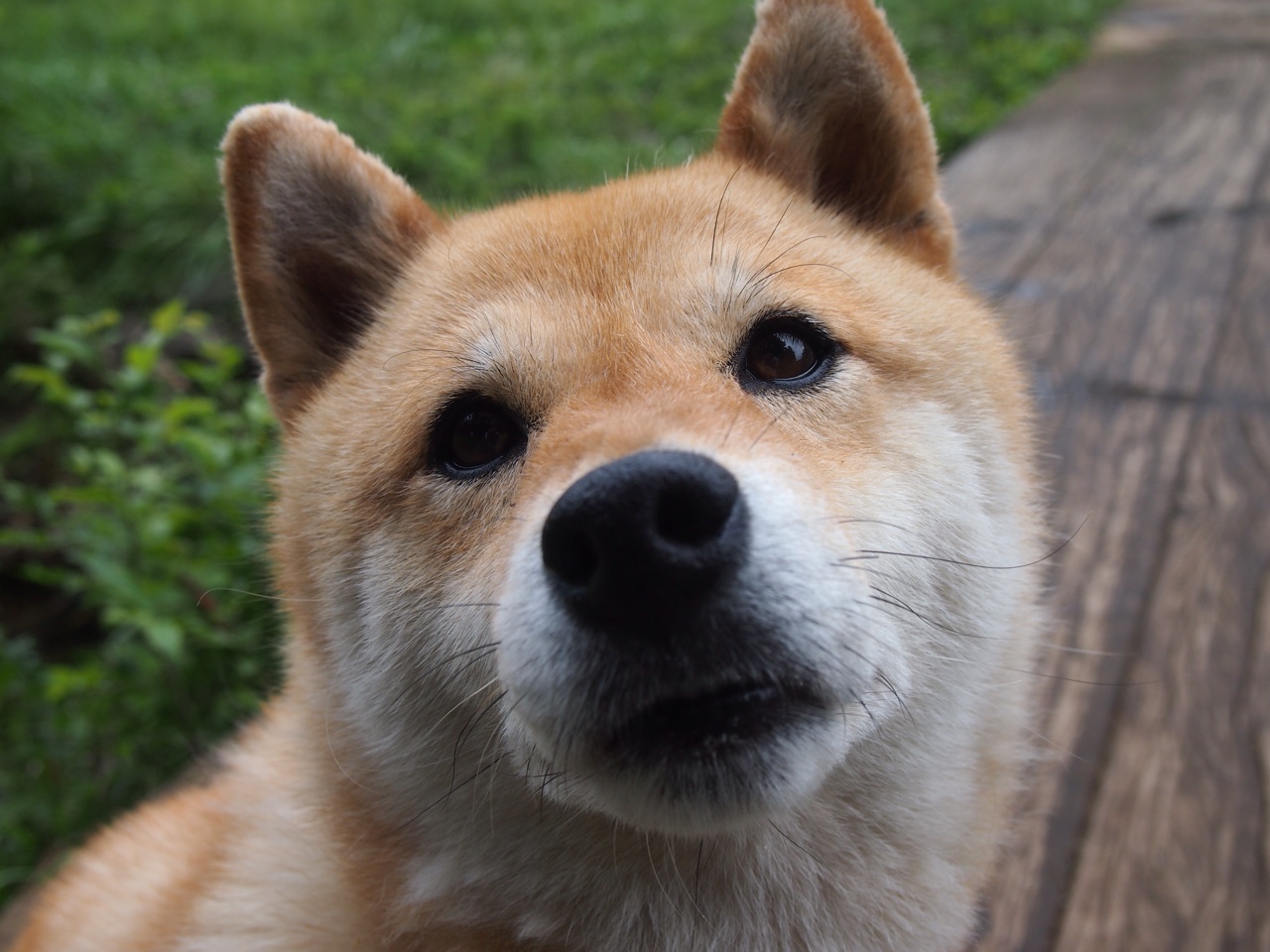 太阳险胜勇士,当英格拉姆的欧冠决赛在NBA球场上演