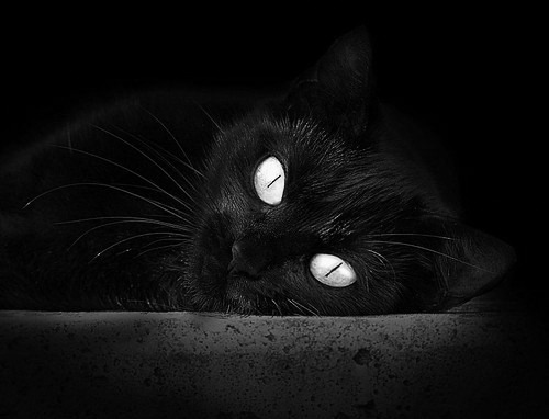 无声处听惊雷，论球场掌控者如何于冰封时刻点燃战局