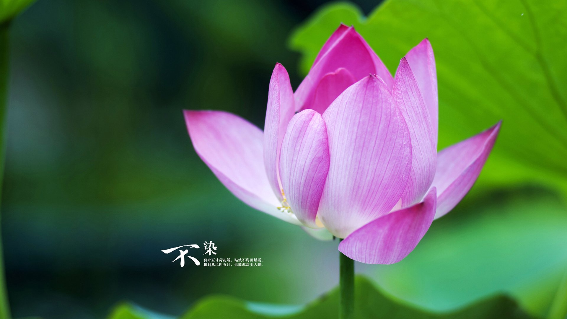 恩佐关键先生闪耀,巴拉圭强势晋级力克比利亚雷亚尔