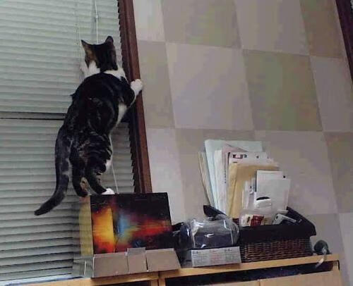 剑锋所指,乾坤已定,塔图姆关键一投助奇才淘汰老鹰