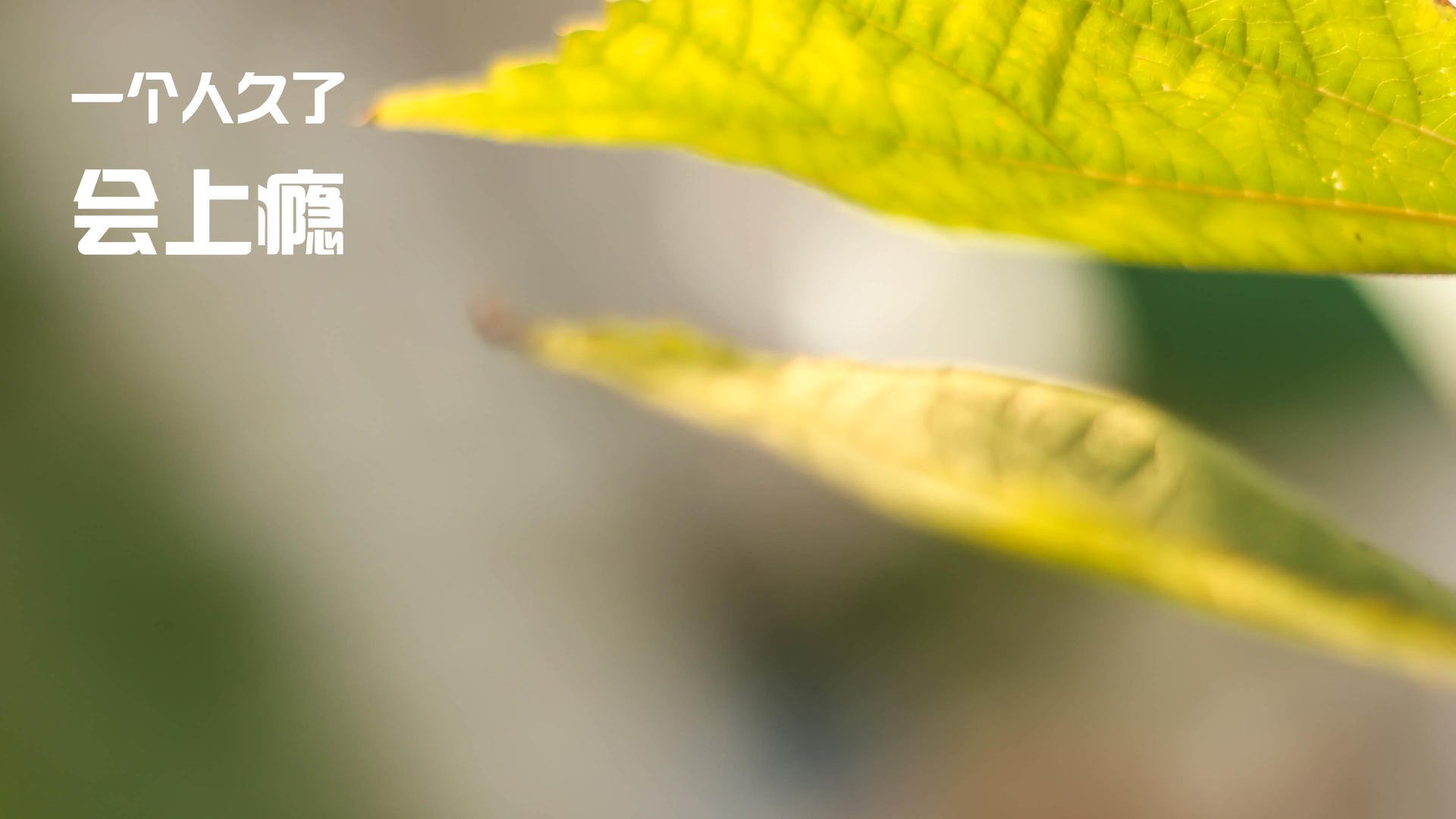 德甲争冠夜激战正酣,梅西关键战不手软的启示