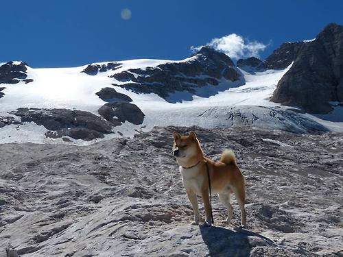 绝境亮剑!小贾伦48分生涯夜 吉林压哨三分险胜新疆