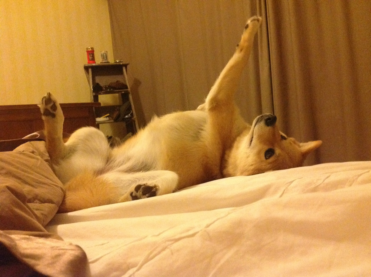 热火熔金，伦纳德斩落54分谱就无人可挡的进攻狂诗