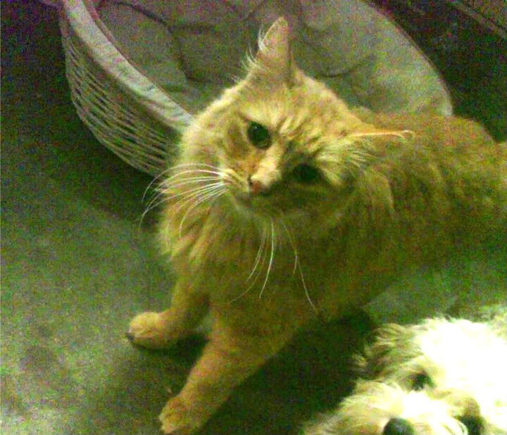 绿茵与硬木的共振，论一波带走背后的决胜哲学