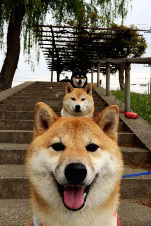 当山西队血拼浙江队时，杰伦格林正用一记绝杀接管世界排名争夺战