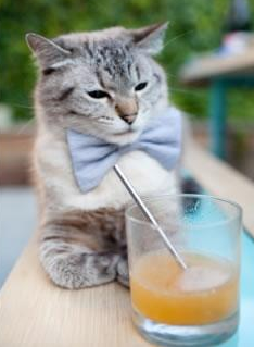 冰岛血战，那不勒斯激斗中久保建英关键回合定乾坤